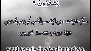 Surah Al Bakarah 6