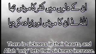 Surah Al Bakarah 8