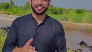 سمندری سےکنجوانی تاندلیانوالہ samundri to tandlianwala kanjwani اسی راہ پُل گئے????