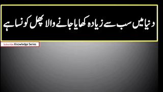 Question Answer in Urdu/Hindi Part #93|  Quiz |Gk Today |  Malumat