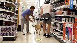 Funny dog can speak!!