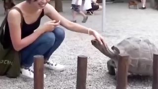 Papa ki pariyon ki gajab besti part 01