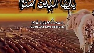 Quran 68