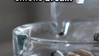 Does Lysol Remove Cigarette Smoke?