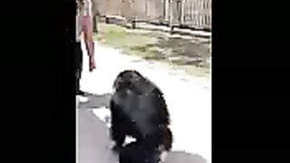 Funny animal ..