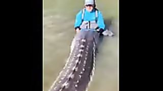River Monsters do exist...!!