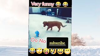 Funny dog and duck video #viral #trending