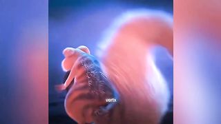 Coldest moment in tik tok????