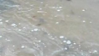 Beautiful nature 99