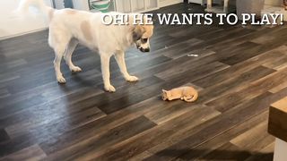 Funny | And So It Began: Best Buds | FunFM