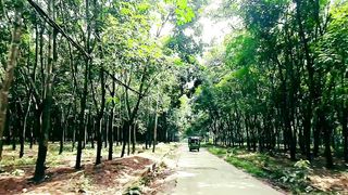 NATURE 7