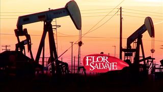 Flor salvaje 04