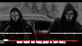 Music 229
