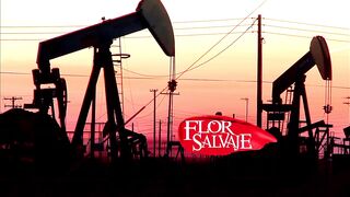 Flor salvaje 06