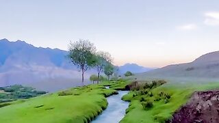 Good morning with this beautiful view