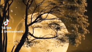 My tiktok vedio 146