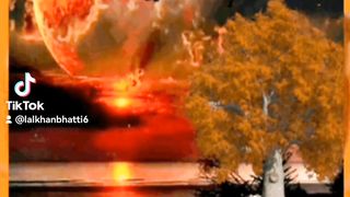 My tiktok vedio 153