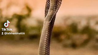 My tiktok vedio 168