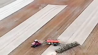 Satisfying garden shaping