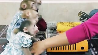 She loves monkeys like her children.