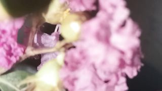 Flower 22