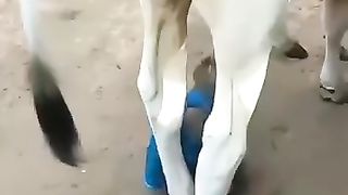 Ata tarrar & daddo charges job in Pakistan