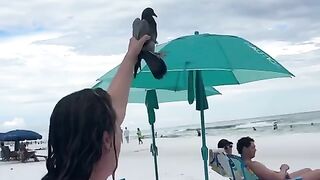 Funny video comedy|#comedy #funny