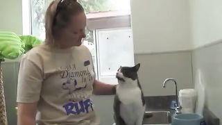 Cat returning the favor of a massage