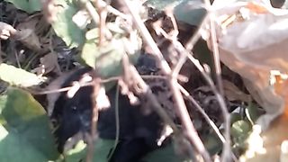 Animal lovers