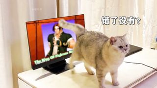 New Experiment With Chinese Cat