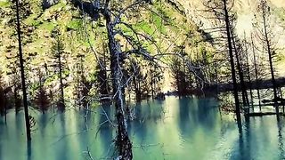 Discover new places