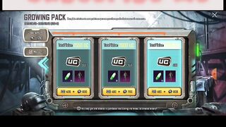Purchase Growing pack
