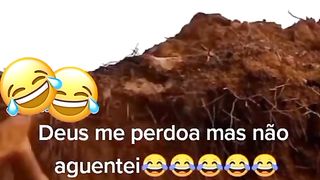 sera q consegue nao rir