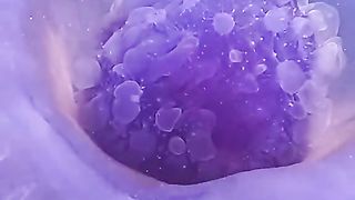 Beautiful fish 5