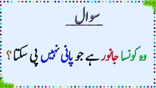 Quiz Today || Question and Answers in Urdu #riddle #funfacts #facts