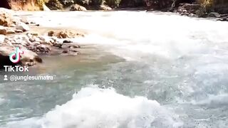 Visit Jungle Sumatra Indonesia