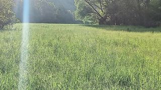 Beautiful nature 100