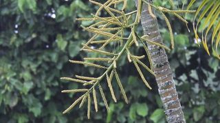 Relaxing Sleep Music with Rain Sounds - Relaxing Music, Peaceful Piano Music, Meditation Music