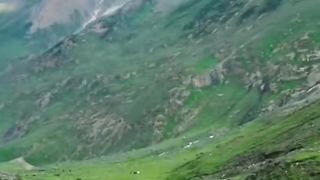 Beautiful  World Scene 4k Amazing Animals and Birds With Hindi Song Asy Muskarati hai wawa