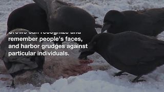 weird and unique facts you probably never knew before # 11