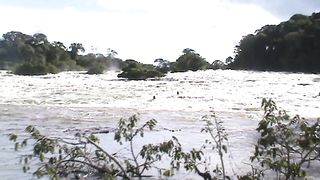 AVISTANDO AS ANTAS NA CACHOEIRA