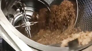 Palm oil mill
