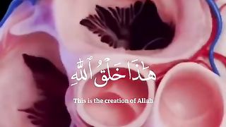 ????کلام خالقِ کائنات????