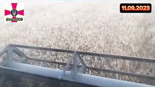 РУСКИТЕ  ФЕРМЕРИ НЕГОДУВАТ