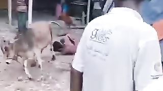 Funny Video....