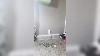 THE FUNNIEST MEMES Of September 2023 | Try Not To LAUGH ???? | #4