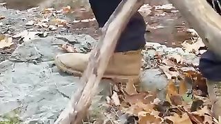 Roasted chicken in nature