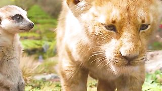 SIMBA6