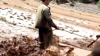 Village new video