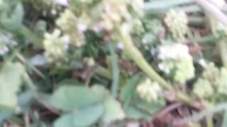 Animal lovers